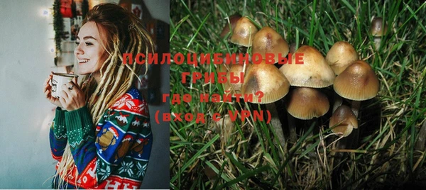марки lsd Бутурлиновка
