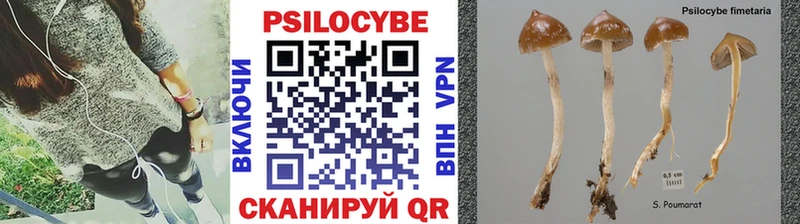 Псилоцибиновые грибы Psilocybine cubensis  Белореченск 