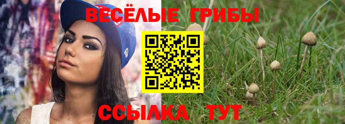 Галлюциногенные грибы GOLDEN TEACHER Белореченск